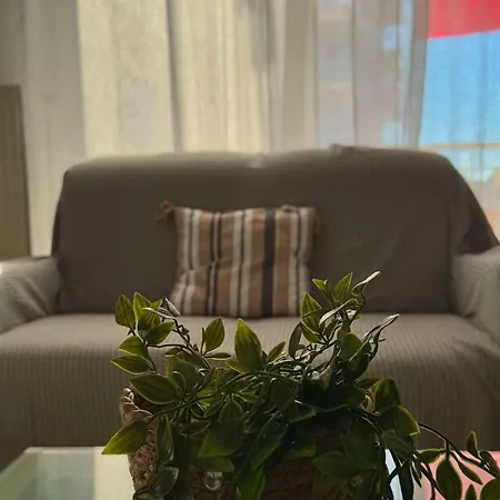 Cozy 2